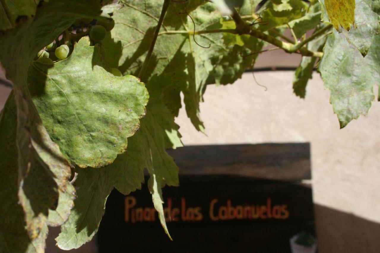 Pinar De Las Cabanuelas Villanueva de Duero Exterior photo